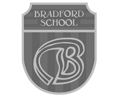 bradford-gris